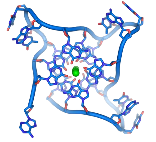 G-quadruplex télomérique humain