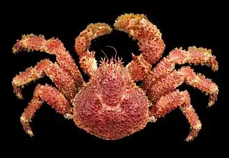 Description de cette image, également commentée ci-après