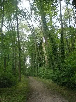 Le parcFrançois-Mitterrand.