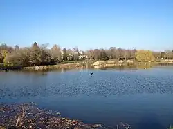 Vue sur un lac, bordé par des arbres sur le fond.