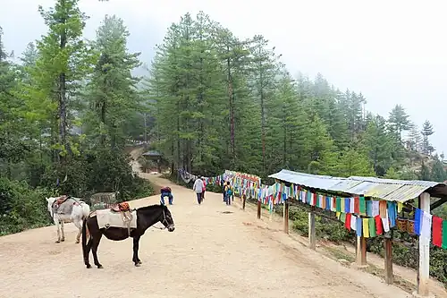 Sentier qui mène au monastère.