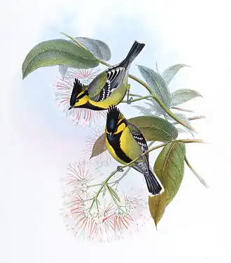 Description de cette image, également commentée ci-après