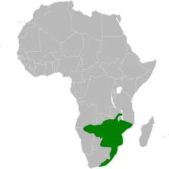 Description de l'image Parus niger distribution map.png.