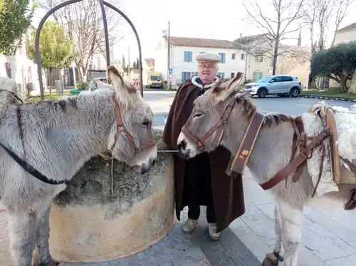Berger et ses ânes de Provence de Li Camin de Provenço Pastrage du dernier dimanche de janvier à St Martin