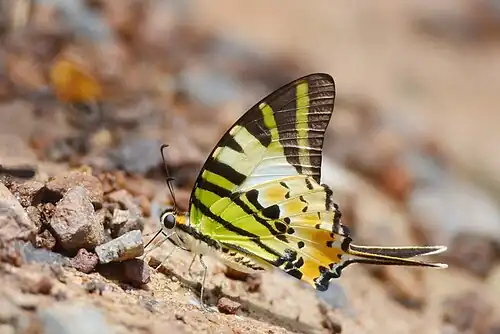 Parc national de Pang Sida, Thaïlande