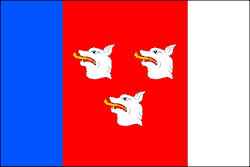 Drapeau de Pavlovice u Přerova