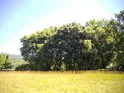 Un paysage parfaitement préservé.