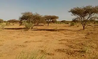 Abala (département)