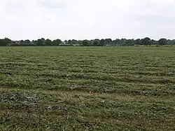 Photographie de champs au nord du bourg.