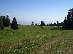 Vue depuis le Mont Tendre (Jura)
