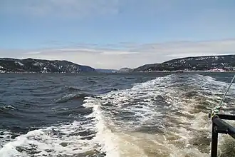 Parc marin du Saguenay–Saint-Laurent