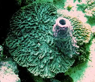 Description de cette image, également commentée ci-après