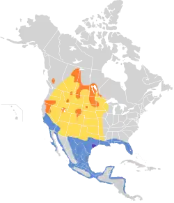 Carte de l'Amérique du Nord et Centrale avec en orange les lieux de nidification situés au nord ouest de la carte, en jaune les voies de migrations au centre de la carte, en violet un morceau du Texas ou l'espèce est présente à l'année et au sud de l'Amérique du Nord et en Amérique Centrale les aires d'hivernage.