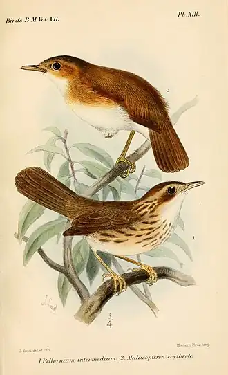 Description de cette image, également commentée ci-après