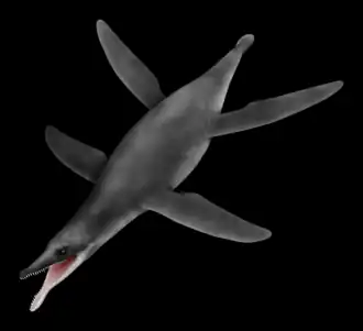 Illustration montrant à quoi Peloneustes aurait pu ressembler de son vivant.