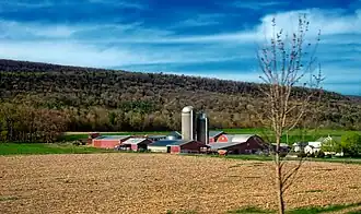 Haines Township (Pennsylvanie)