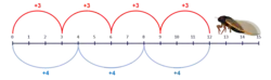 Number line with multiples of 3 and 4 highlighted up to the number 12. An illustration of a cicada sits at the number 13.