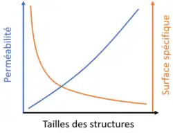 graphique présentant l'évolution de la surface spécifique et de la perméabilité d'une électrode de carbone avec l'augmentation de la taille des fibres. Les tendances sont opposées : quand la taille augmente, la perméabilité augmente et la surface baisse