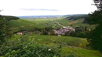 Image illustrative de l’article Pernand-vergelesses (AOC)