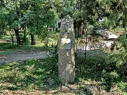 Menhir des Pétignons