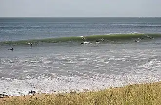 Image illustrative de l’article Spots de surf de l'île de Ré