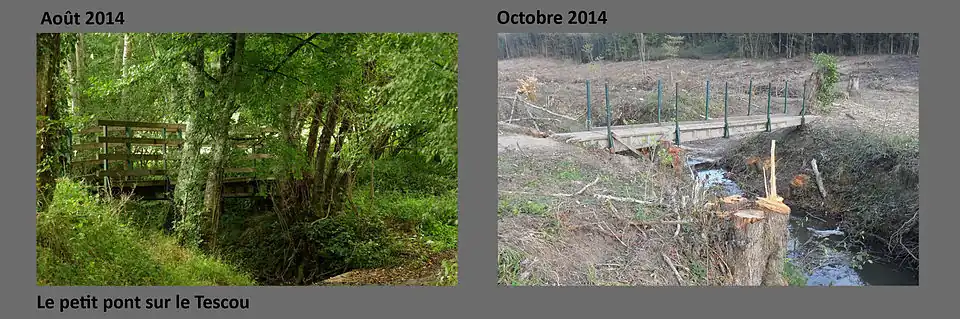 Le petit pont du Testet permet le franchissement du Tescou par le sentier de randonnée (GR de pays) : ici en août 2014 avant les travaux de déboisement et en octobre après déboisement.