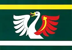 Drapeau de Petrovice II