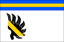 Drapeau de Petrovice