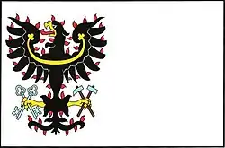 Drapeau de Petrovice I