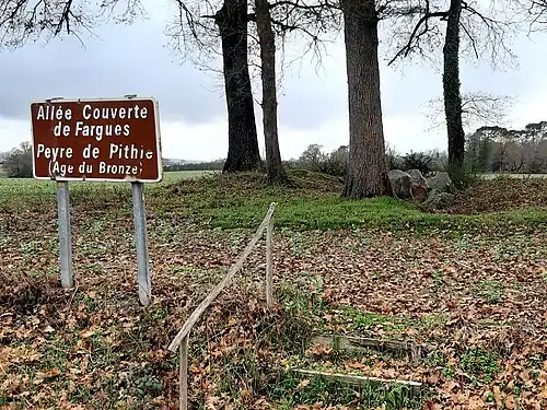 Vue générale du site