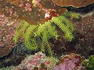 Description de cette image, également commentée ci-après