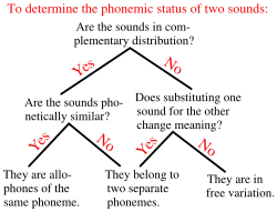 Une procédure simplifiée pour déterminer si deux sons représentent les mêmes phonèmes ou différents