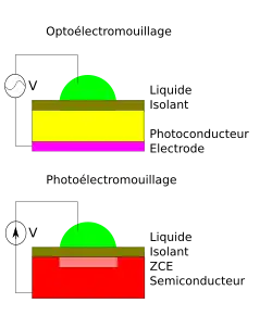 Deux schémas, l'un présentant le photoélectromouillage et l'autre l'optoélectromouillage.