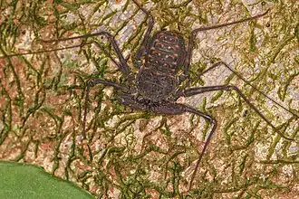 Description de cette image, également commentée ci-après