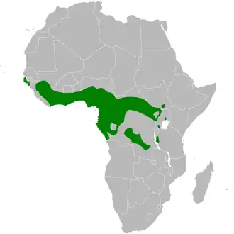 Description de l'image Phyllastrephus_scandens_distribution_map.png.