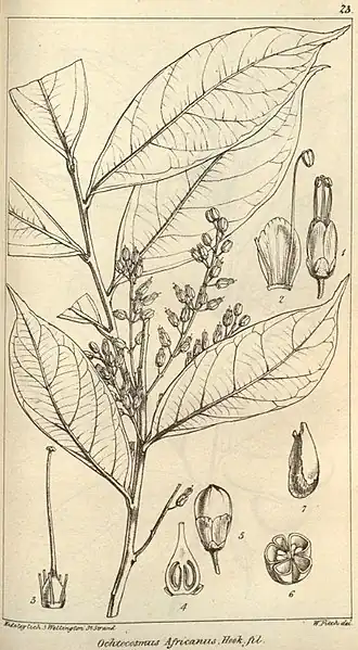 Description de cette image, également commentée ci-après