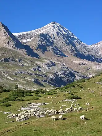 Vue de la face nord du Taillon.