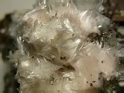 Image illustrative de l’article Pickeringite