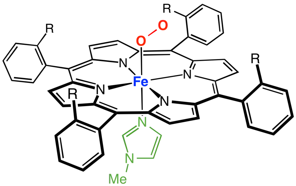 Exemple de porphyrine à palissade complexée avec du fer, les sites de coordination axiaux étant occupés par la méthylimidazole (en vert) et l'oxygène.