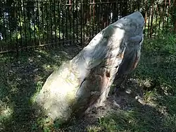 Image illustrative de l’article Pierre Beaumirault