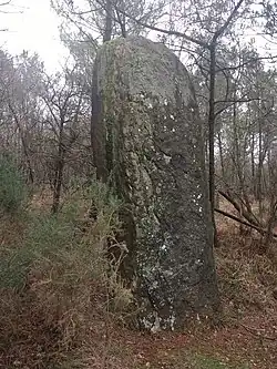 Image illustrative de l’article Pierre Longue (Molac)