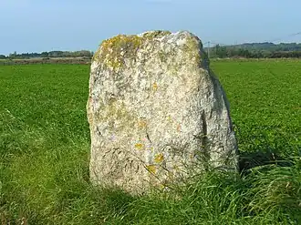 Menhir dit « pierre de Saillé ».