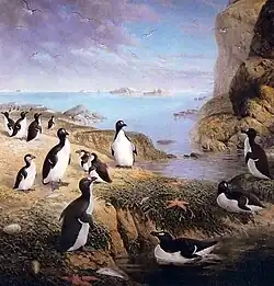 Plusieurs pingouins debout avec leurs petits sur une plage rocheuse, avec l'océan en fond et des falaises sur la droite.