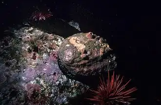 Description de cette image, également commentée ci-après