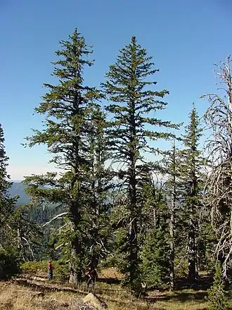 Description de cette image, également commentée ci-après