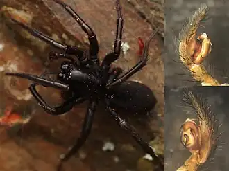 Description de cette image, également commentée ci-après