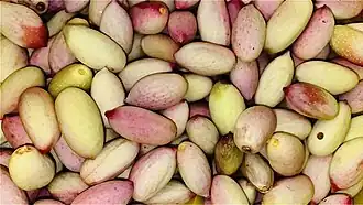 Image illustrative de l’article Pistache de Raffadali