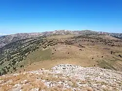 Vue depuis le pic de la Pelade vers le pla dels Gorgs et les hauteurs du Madrès