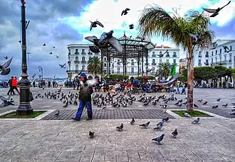 Image illustrative de l’article Place des Martyrs (Alger)