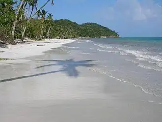 Plage de l'île de la Providence